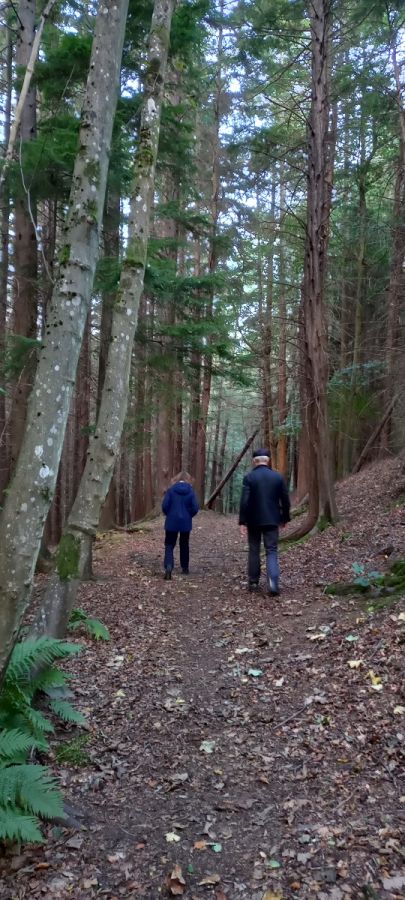 peace day galashiels silent forest walk 21 09 2025