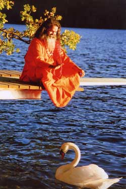 Swamiji Swamiji-and-Swan